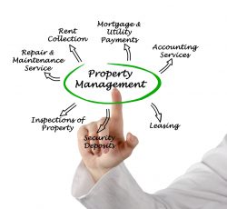 Property Management in Lakewood